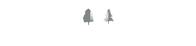 Buried In Fingal Footer Logo