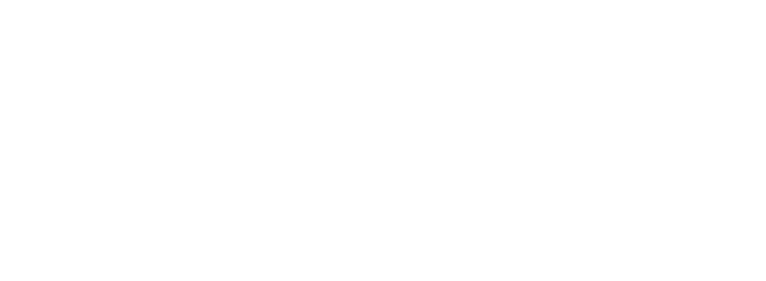 Fingal County Council Logo