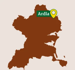 Ardla