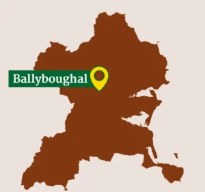 Ballyboughal