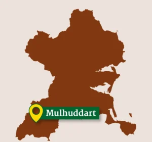 Mulhuddart