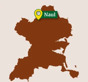 Naul