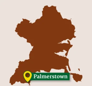 Palmerstown