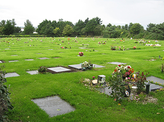 St. Fintan's